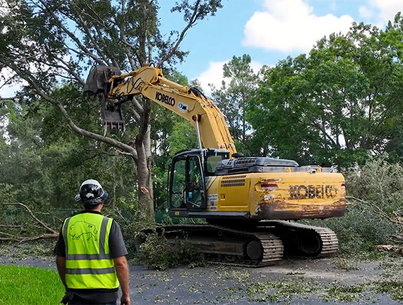A yellow excavator with a KOBELCO logo uses its claw to remove large branches from a tall tree, surrounded by green trees under a blue, partly cloudy sky.